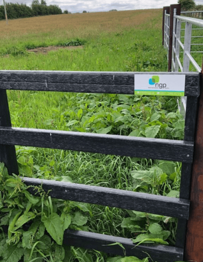 Plastic Fence Logo Next Generation Plastics NGP