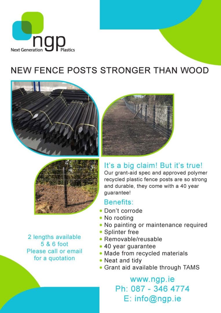 NGP Flyer Front Page Fence Posts