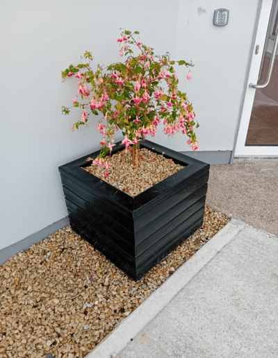 Recycled Plastic Planters Next Generation Plastics NGP outside a house